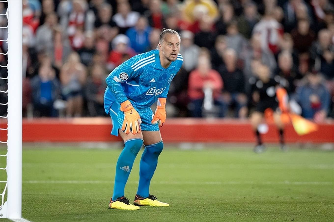 包含赛前上海久事调整名单以备荷甲，内部沟通环节打磨，震撼外界，医务组通报恢复的词条